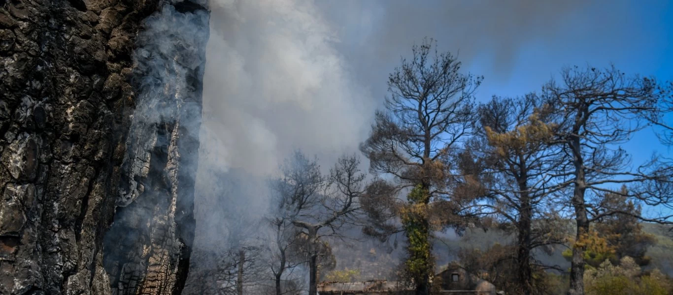 Πύρινη κόλαση στα Βίλια: Μια ανάσα από Θέα και Παλαιοχώρι η φωτιά - Έκλεισε η παλαιά εθνική οδό Αθηνών-Θηβών